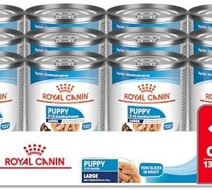 Royal Canin Size Health Nutrition Large Puppy Thin Slices in Gravy Wet Dog Food, 13 oz can (12-count)