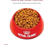 Royal Canin Chihuahua Adult 8+ Breed Specific Dry Dog Food for Senior Dogs, 2.5 lb. bag - Image 8