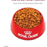 Royal Canin Poodle Adult Breed Specific Dry Dog Food, 10 lb bag - Image 6