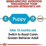 Royal Canin Breed Health Nutrition Golden Retriever Puppy Dry Dog Food, 30 lb & Large Puppy Wet Dog Food, 4.9 oz cans 10-Count - Image 5