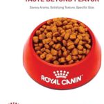 Royal Canin Yorkshire Terrier Adult Dry Dog Food, 2.5 lb bag - Image 8