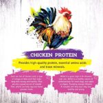 Inception® Dry Cat Food Chicken Recipe – Complete and Balanced Cat Food – Meat First Legume Free Dry Cat Food – 4 lb. Bag - Image 3