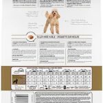 Royal Canin Poodle Adult Breed Specific Dry Dog Food, 10 lb bag - Image 2