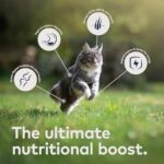 ZIWI Peak Canned Wet Cat Food – All Natural, High Protein, Grain Free, Limited Ingredient, with Superfoods (Mackerel, Case of 12, 6.5oz Cans) - Image 4