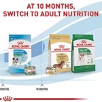 Royal Canin Size Health Nutrition Small Puppy Dry Dog Food, 2.5 lb bag - Image 6