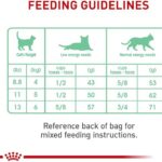 Royal Canin Digestive Care Dry Cat Food, 6 lb bag - Image 4