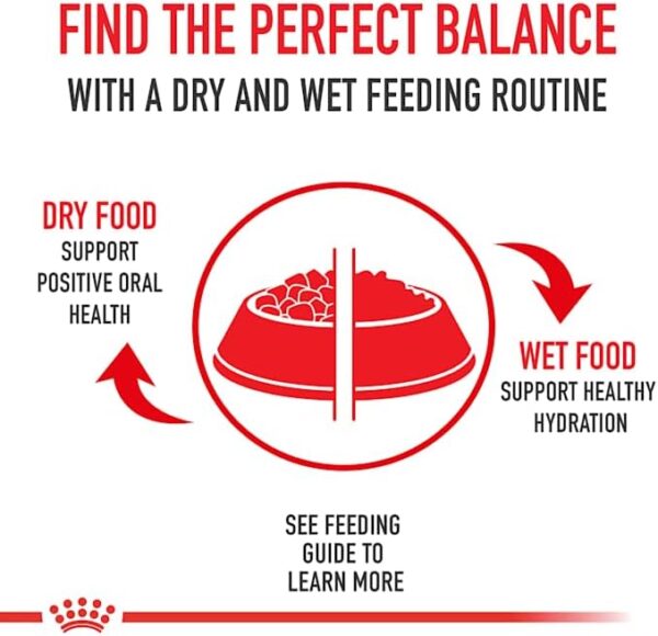 Royal Canin Medium Weight Care Adult Dry Dog Food for Medium Breeds, 17 lb bag - Image 7