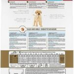 Royal Canin Breed Health Nutrition Golden Retriever Puppy Dry Dog Food, 30 lb & Large Puppy Wet Dog Food, 4.9 oz cans 10-Count - Image 2