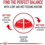 Royal Canin Golden Retriever Loaf in Sauce Canned Dog Food, 13.5 oz can (12-count) - Image 2