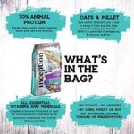 Inception® Dry Cat Food Fish Recipe – Complete and Balanced Cat Food – Meat First Legume Free Dry Cat Food – 13.5 lb. Bag - Image 3