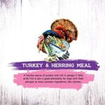 Inception® Dry Cat Food Turkey and Herring Recipe – Complete and Balanced Cat Food – Meat First Legume Free Dry Cat Food – 13.5 lb. Bag - Image 5