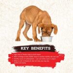 Inception® Wet Dog Food Pork Recipe – Complete and Balanced Dog Food – Meat First Legume Free Wet Dog Food – 12/13oz case - Image 4