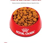 Royal Canin Medium Digestive Care Dry Dog Food, 17 lb bag - Image 6