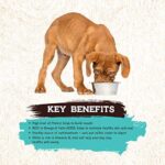 Inception® Wet Dog Food Fish Recipe – Complete and Balanced Dog Food – Legume Free Meat First Wet Dog Food – 12/13oz case - Image 5