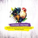 Inception® Dry Cat Food Chicken Recipe – Complete and Balanced Cat Food – Meat First Legume Free Dry Cat Food – 13.5 lb. Bag - Image 2