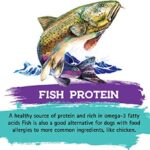Inception® Dry Cat Food Fish Recipe – Complete and Balanced Cat Food – Meat First Legume Free Dry Cat Food – 13.5 lb. Bag - Image 5