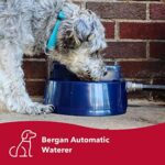 Coastal Pet Bergan Auto-Wata - Outdoor Dog & Cat Water Dispenser - Automatic Water Bowl for Pets - Made from Durable, BPA-Free Plastic - Self-Watering Cat & Dog Bowl - Navy, 48 Ounces - Image 2