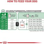 Royal Canin Small Adult Wet Dog Food, 3 oz can (12-count) - Image 5