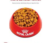 Royal Canin Dachshund Adult Breed Specific Dry Dog Food, 2.5 lb bag - Image 9