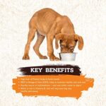 Inception® Wet Dog Food Chicken & Pork Meal Recipe – Complete and Balanced Dog Food – Legume Free Meat First Wet Dog Food – 12/13oz case - Image 5