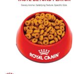 Royal Canin Digestive Care Dry Cat Food, 6 lb bag - Image 8