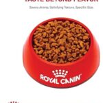 Royal Canin Adult Cat Sensitive Digestion Dry Adult Cat Food, 15 lb bag - Image 11