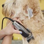 Andis 23585 EasyClip Whisper 12-Piece Adjustable Blade Clipper Kit, Pet Grooming, PM-4 - Image 3