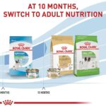 Royal Canin Size Health Nutrition X-Small Puppy Dry Dog Food, 14 lb bag - Image 10