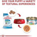 Royal Canin Size Health Nutrition X-Small Puppy Dry Dog Food, 14 lb bag - Image 8