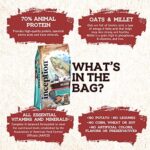 Inception® Dry Dog Food Fish Recipe – Complete and Balanced Dog Food – Meat First Legume Free Dry Dog Food – 27 lb. Bag - Image 2