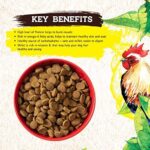 Inception® Dry Dog Food Chicken Recipe – Complete and Balanced Dog Food – Meat First Legume Free Dry Dog Food – 13.5 lb. Bag - Image 7