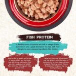 Inception® Wet Dog Food Fish Recipe – Complete and Balanced Dog Food – Legume Free Meat First Wet Dog Food – 12/13oz case - Image 3