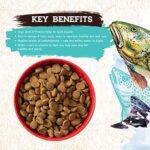 Inception® Dry Dog Food Fish Recipe – Complete and Balanced Dog Food – Meat First Legume Free Dry Dog Food – 27 lb. Bag - Image 7