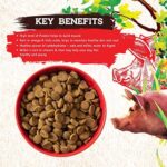 Inception® Dry Dog Food Pork Recipe – Complete and Balanced Dog Food – Meat First Legume Free Dry Dog Food – 13.5 lb. Bag - Image 7