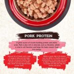 Inception® Wet Dog Food Pork Recipe – Complete and Balanced Dog Food – Meat First Legume Free Wet Dog Food – 12/13oz case - Image 3