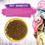 Inception® Dry Cat Food Turkey and Herring Recipe – Complete and Balanced Cat Food – Meat First Legume Free Dry Cat Food – 13.5 lb. Bag - Image 7