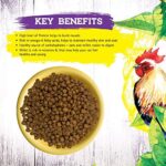 Inception® Dry Cat Food Chicken Recipe – Complete and Balanced Cat Food – Meat First Legume Free Dry Cat Food – 13.5 lb. Bag - Image 7