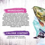 Inception® Dry Cat Food Fish Recipe – Complete and Balanced Cat Food – Meat First Legume Free Dry Cat Food – 13.5 lb. Bag - Image 6