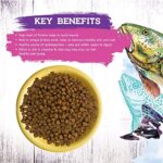 Inception® Dry Cat Food Fish Recipe – Complete and Balanced Cat Food – Meat First Legume Free Dry Cat Food – 13.5 lb. Bag - Image 7