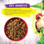 Inception® Dry Cat Food Chicken Recipe – Complete and Balanced Cat Food – Meat First Legume Free Dry Cat Food – 4 lb. Bag - Image 5