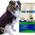 SurgiSnuggly Veterinary Invented Dog Surgical Recovery Suit for Female Spay or Male Dogs Neuters,Cone Alternative, Original Dog Onesie Bodysuit for After Surgery Small, Medium, Large Dogs Large Plum