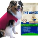 SurgiSnuggly Veterinary Invented Dog Surgical Recovery Suit for Female Spay or Male Dogs Neuters,Cone Alternative, Original Dog Onesie Bodysuit for After Surgery Small, Medium, Large Dogs Pi ML Ec
