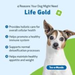 Pet Wellbeing Life Gold for Dogs - Vet-Formulated - Immune Support and Antioxidant Protection - Natural Herbal Supplement 2 oz (59 ml) - Image 2