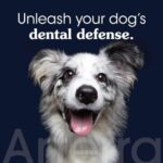 Remineralizing Dog Toothpaste – Vet-Grade, with Nano-Hydroxyapatite, Reverses Early-Stage Decay, Cleans Teeth, Reduces Tartar, Freshens Breath by Arterra Pet Science, Plant-Based, Natural Flavor, 4oz - Image 2