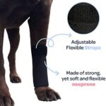 Labra Dog Canine Front Leg Compression Brace Wrap Sleeve, Protects Wounds, Braces, Heals, and Prevents Injuries and Sprains, Helps with Loss of Stability Caused by Arthritis - Large/Extra Large - Image 4