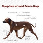 PHS Joint MAX Triple Strength (TS) Soft Chews for Dogs - Glucosamine, Chondroitin, MSM, Turmeric, Omega 3 - Hip and Joint Pain Relief and Support for Dogs - Made in USA - 30 Soft Chews - Image 3