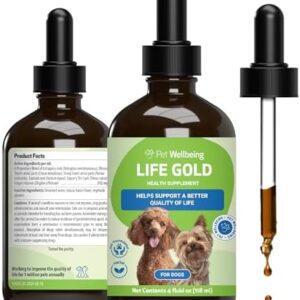 Life Gold for Dogs - Supports Detoxification, Immune System Health, Antioxidants - Vet-Formulated Herbal Supplement – 4 oz (118 ml)