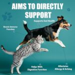 Probiotics for Dogs - Dog Probiotics with Prebiotics & Digestive Enzymes, Support Cut Health, Digestive Health & Immune System, Diarrhea & Allergy Itch Relief, 180 Soft Chews - Image 3