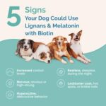 PranaPets Lignans & Melatonin with Biotin Blend Naturally Aids in Relieving Symptoms of Cushing’s in Dogs up to 25 lb | Promote Healthy Balance & Overall Well-Being - Image 4