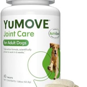 Hip and Joint Supplement for Dogs with Glucosamine, Chondroitin, Omega 3, Hyaluronic Acid, & Green Lipped Mussel - Dog Joint Supplement - for Adult Dogs 60 Tablets
